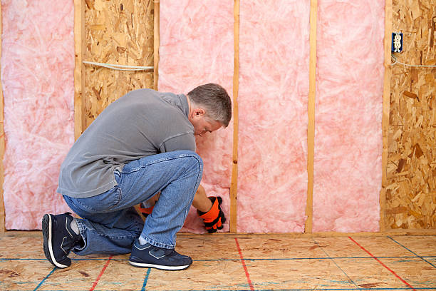 Professional Insulation Contractor in AK