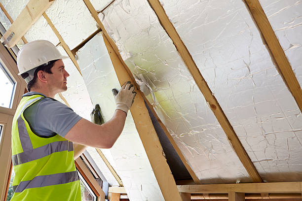 Best Insulation Materials and Products in Sterling, AK
